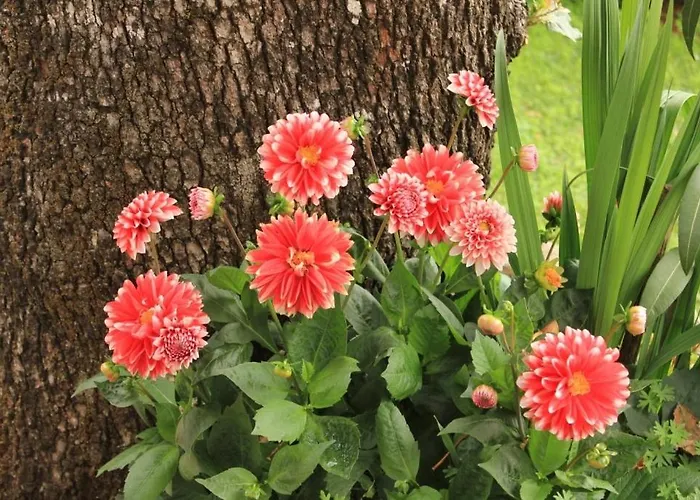 With A Parking Space - 7854 Opatija